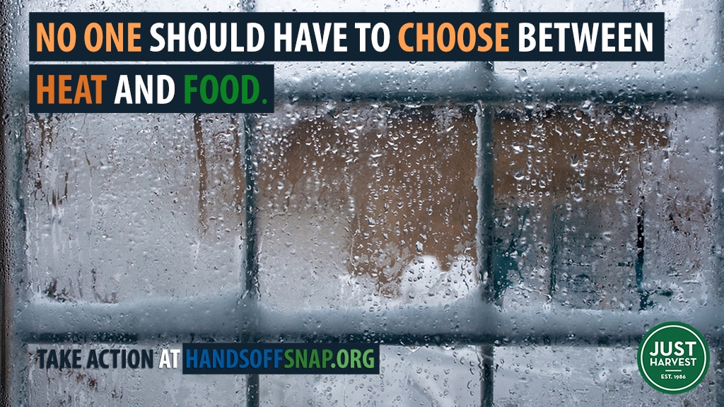 No one should have to choose between heat and food. Take action at handsoffsnap.org (photo of frozen window by Igor Stevanovic)